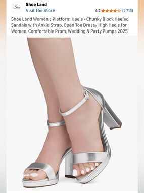 Women's Silver Heel (Size 9)